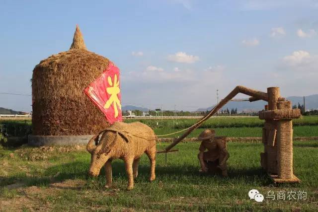 华溪村为啥一夜就火了,华溪村为什么突然火了