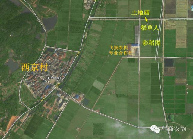 华溪村为啥一夜就火了,华溪村为什么突然火了