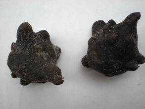 涓嵂榛戦檮瀛愬浣曠厧,涓嵂澶ч檮瀛愮殑鍒悕