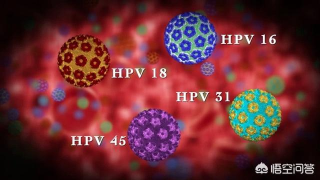 带HPV病毒需要长期吃药吗？