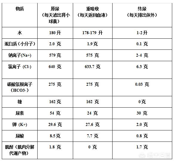 室内游泳池里为何有尿,为什么泳池有尿