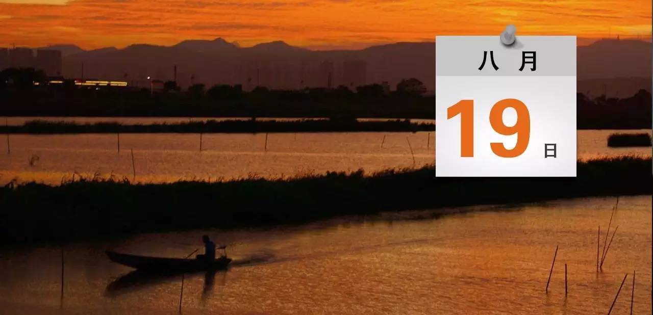 最新进展！黄圃小车坠河事件车主身份初步确定｜速览