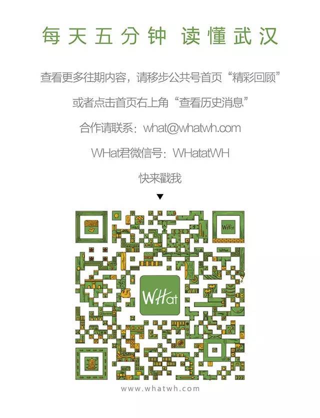 武汉只下一天雪吗,武汉下的是雪吗