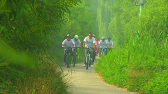 大美微山湖生态好地方,微山湖国家湿地公园游玩讲解