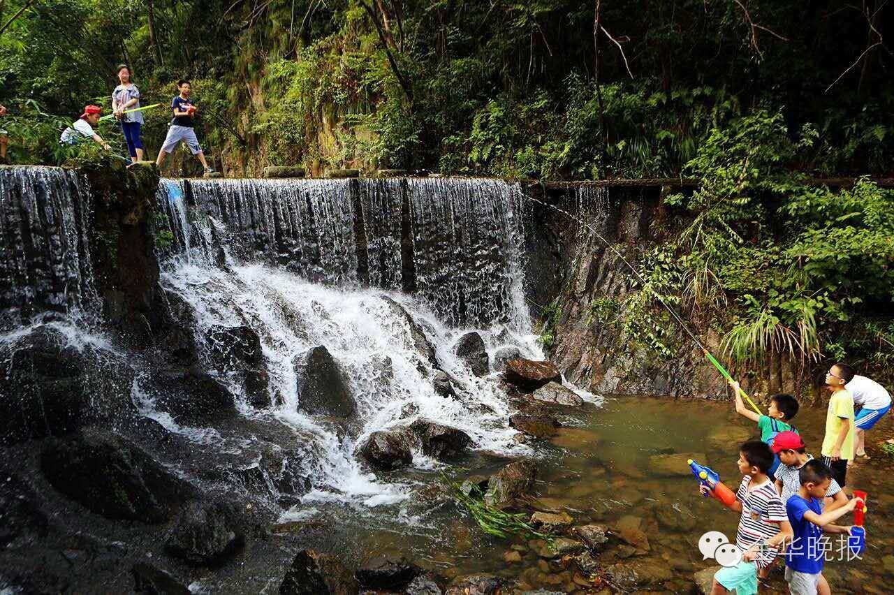 淘学到浦江│孩子们都说美的地方，一定很美！（获奖作品）