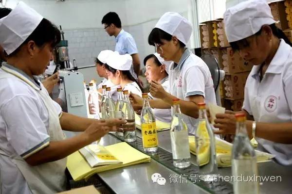 都说南厂出好酒，到底好在哪里？酒乡宁陵探源