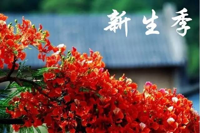 厦门大学等多所高校发出紧急通知,厦门大学封闭通知