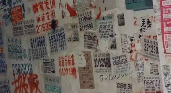 最新进展！黄圃小车坠河事件车主身份初步确定｜速览