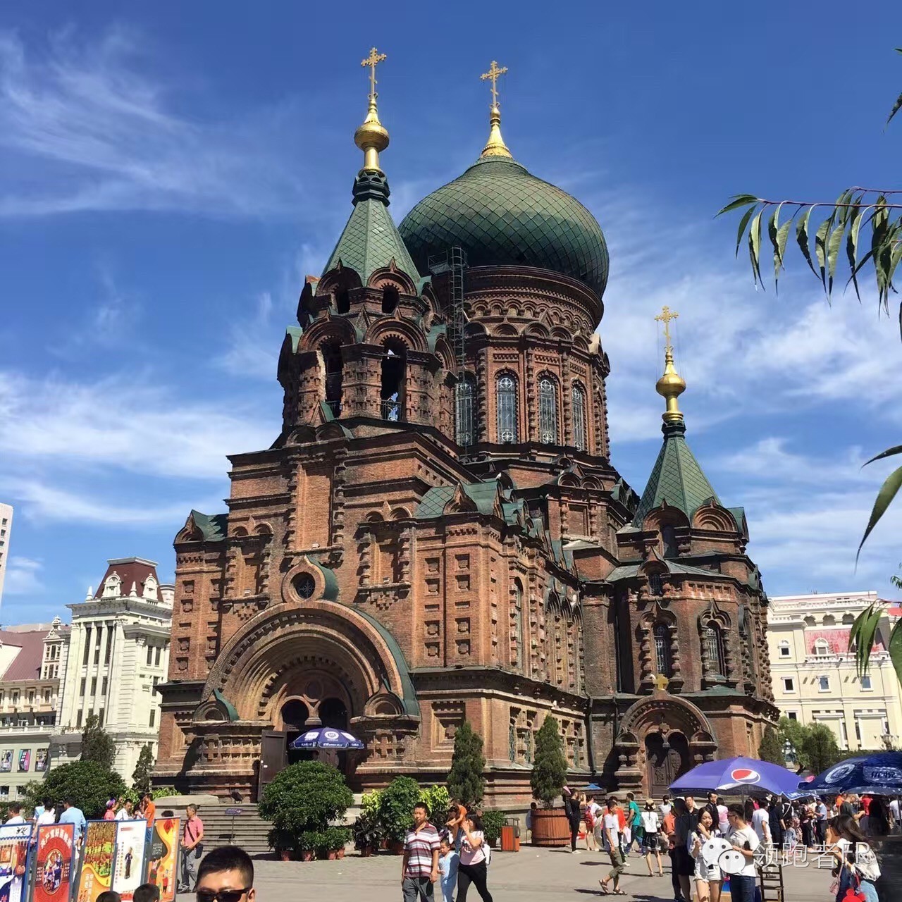 格瓦斯大列巴,格瓦斯红肠哈尔滨