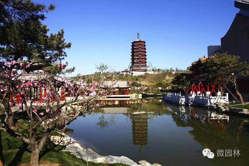 园博馆科普讲座丨植物的秘密与功能