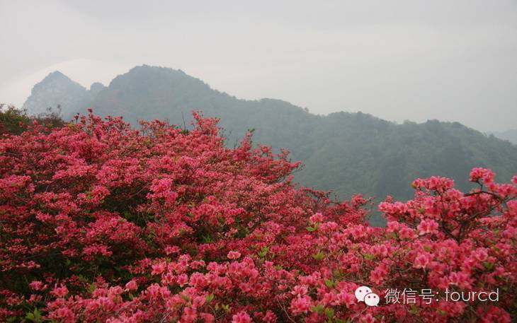 承德周边一日游的绝佳去处,承德周边四月份适合去哪旅游