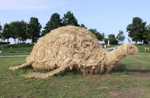 稻草堆也是风景,稻草堆弄成柴火