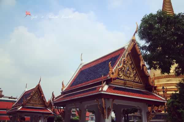 许小姐在墨尔本,许小姐游中国视频