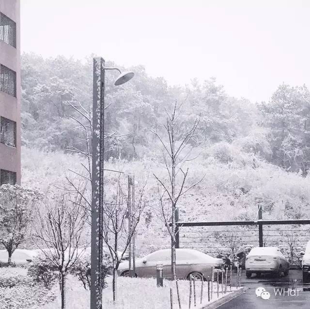 武汉只下一天雪吗,武汉下的是雪吗