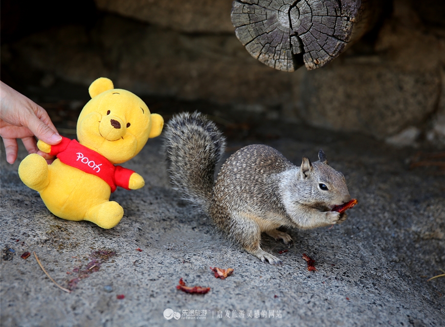 人间仙境优胜美地图片,优胜美地国家公园十大景观