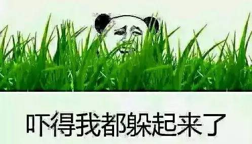 接吻有风险恋爱需谨慎,接吻有风险