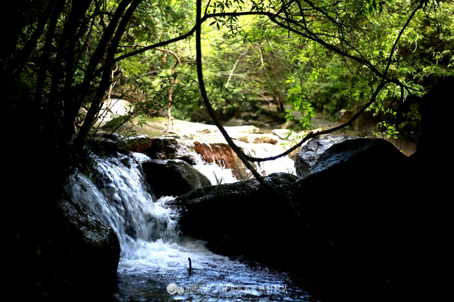 广东的香格里拉新丰县,新丰云髻山香格里拉