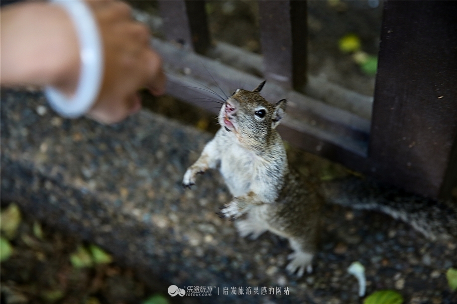 人间仙境优胜美地图片,优胜美地国家公园十大景观