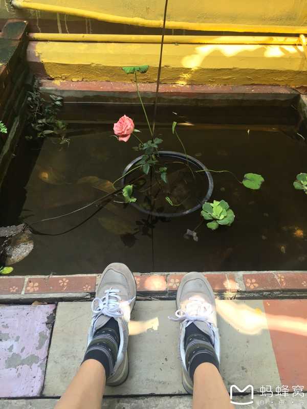 泰国曼谷普吉岛6天5晚跟团游,曼谷和普吉和清迈哪个值得去