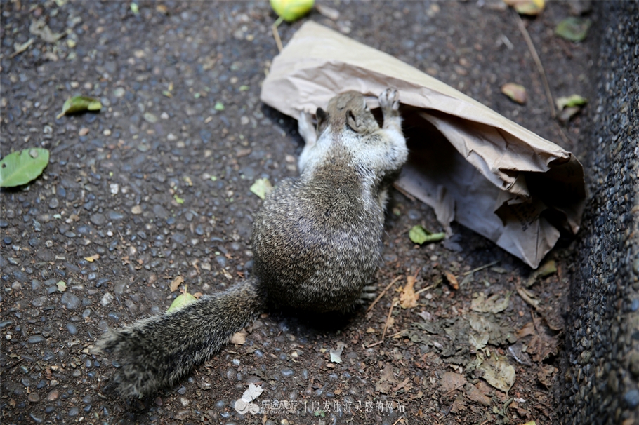 人间仙境优胜美地图片,优胜美地国家公园十大景观