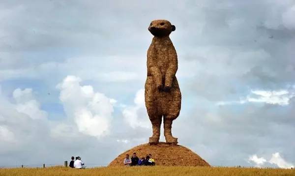 稻草堆也是风景,稻草堆弄成柴火