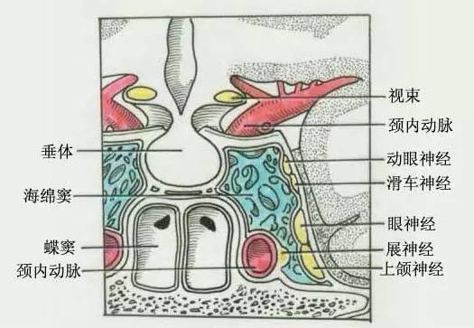 接吻有风险恋爱需谨慎,接吻有风险