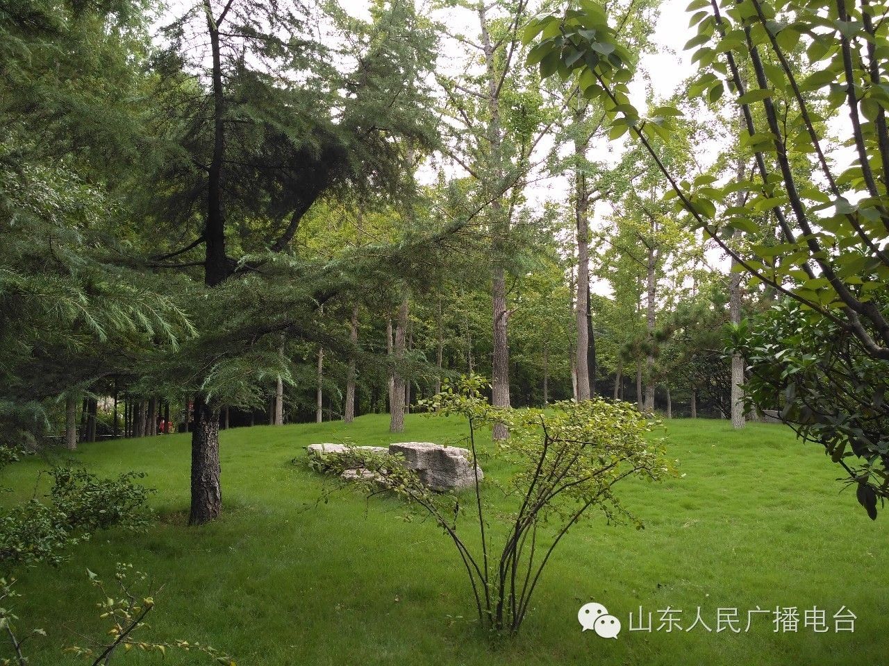 五龙潭泼水节，全家一起嗨翻天