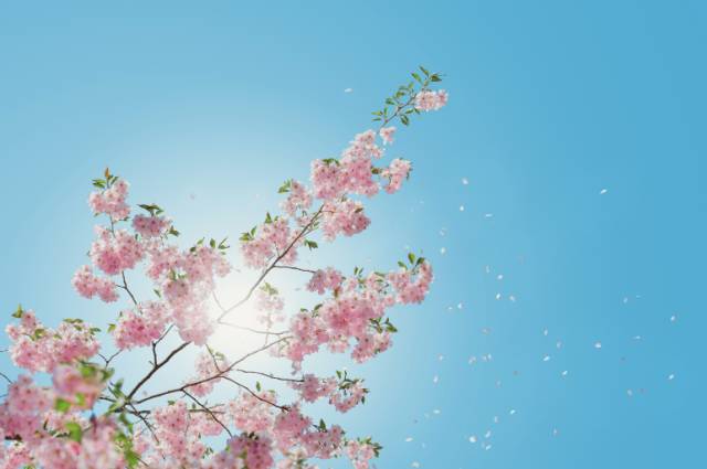 如果你不小心被烫伤了怎么办,烫伤之后你该怎么做