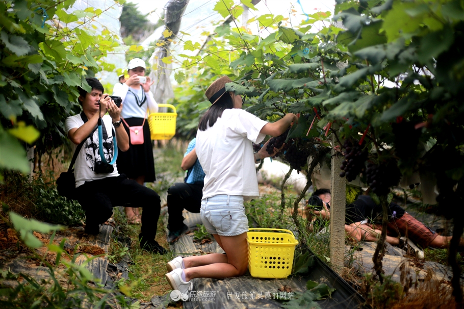 广东的香格里拉新丰县,新丰云髻山香格里拉