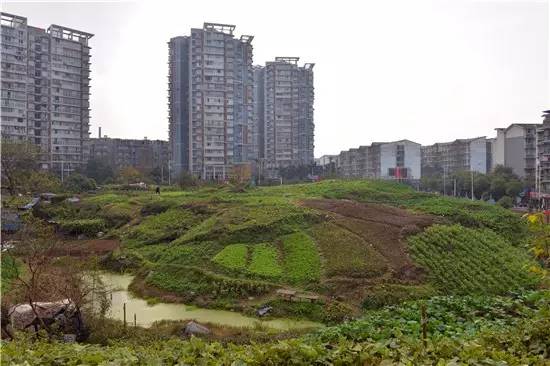 临港真的没有发展潜力吗,临港值得置业么