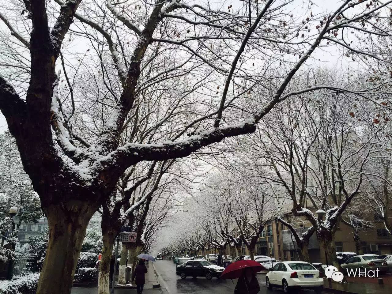 武汉只下一天雪吗,武汉下的是雪吗