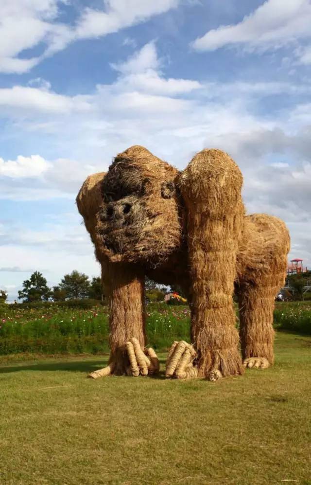 稻草堆也是风景,稻草堆弄成柴火