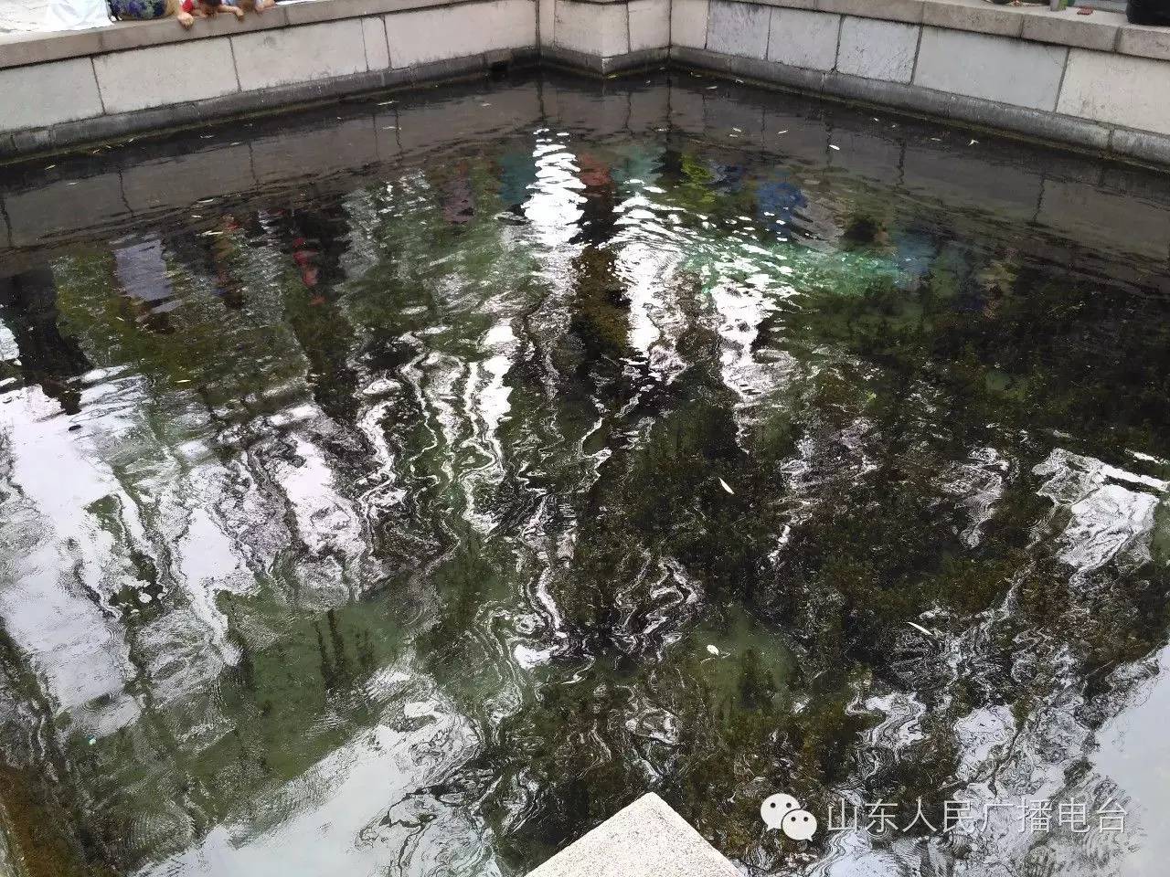 五龙潭泼水节，全家一起嗨翻天