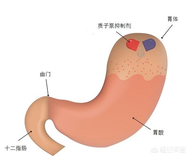 长期喝奥美拉唑对胃有副作用吗,长期服用奥美拉唑副作用是哪些