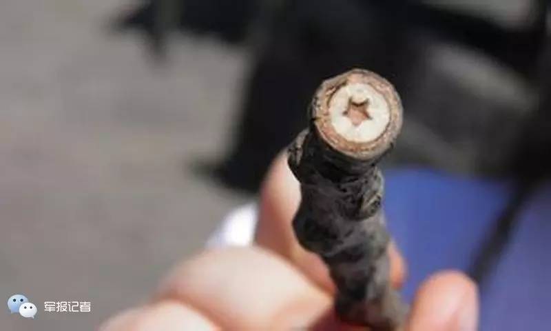 荐读|一棵朱老总亲手种下的杨树,为何长出红五星?