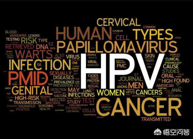 hpv24分型基因全部为阴性,hpv基因分型检测全部阴性
