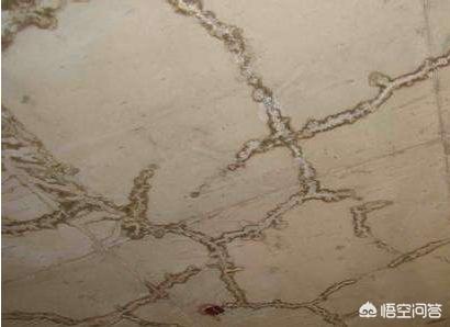 混凝土楼板裂缝处理方法,楼板裂缝怎么处理装修好了