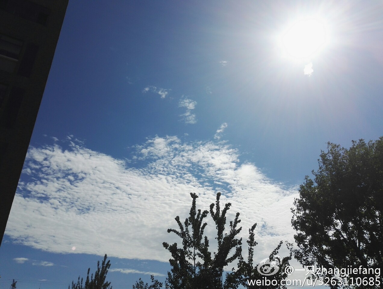 天津蓝眼泪视频,天津蓝眼泪最新视频