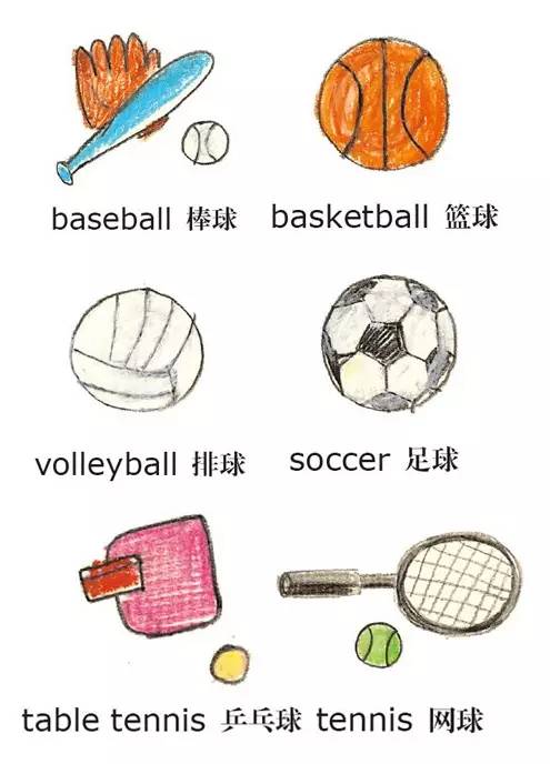 缇庡浗瀹跺涵浜插瓙瀵硅瘽鑻辫,缇庡浗瀹跺涵浜插瓙鑻辫璁茶В