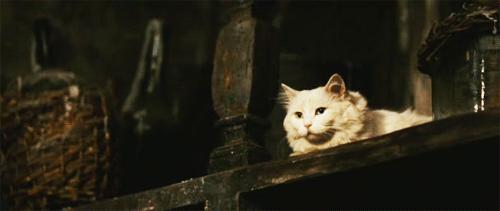 乐活家丨你天天闻的香水，竟然是用这些材料做的！再次忍住不吐