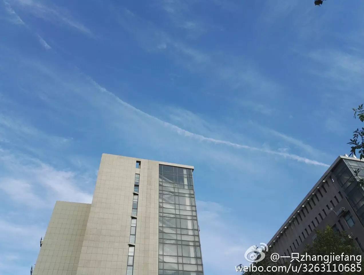 天津蓝眼泪视频,天津蓝眼泪最新视频