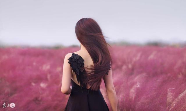 小说章节再入海贼世界,当我进入海贼王世界小说