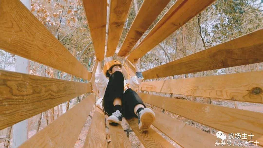 休闲农庄7大盈利模式,休闲农庄有什么前景吗