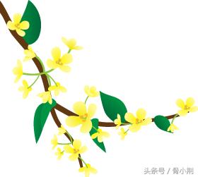 骨质疏松症系列——骨质疏松症如何进行药物治疗？