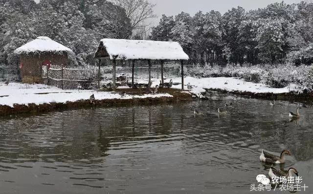 休闲农庄7大盈利模式,休闲农庄有什么前景吗