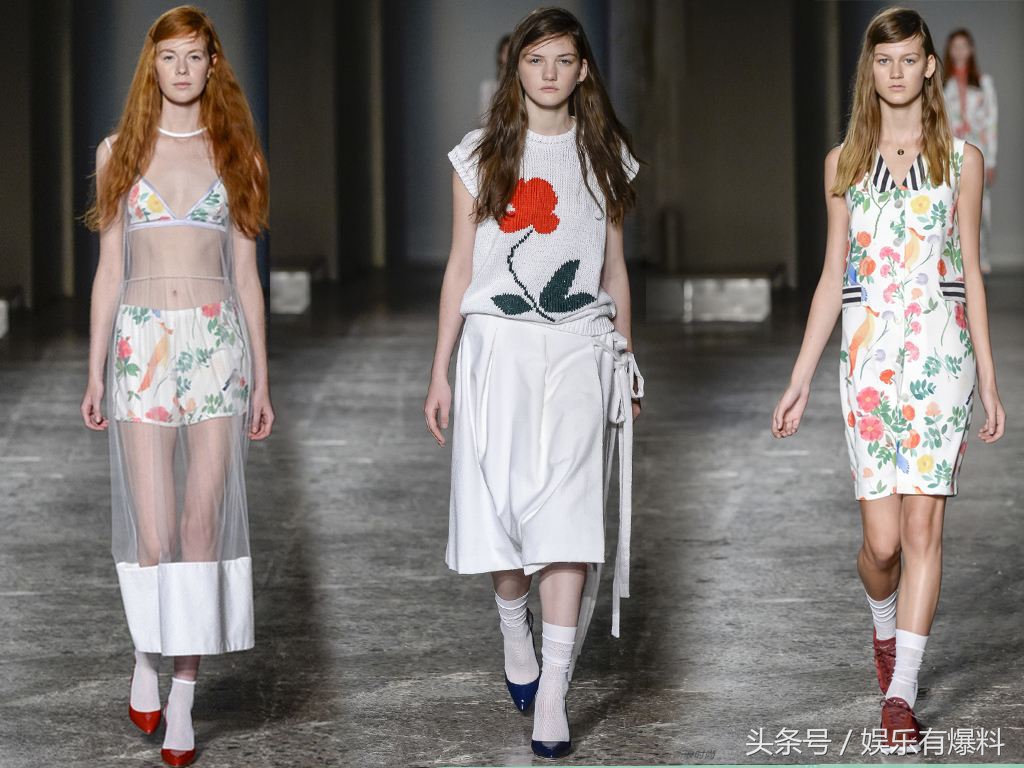 站在食物链最顶端的是什么,站在食物链的最顶端