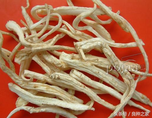 餐桌上常见的本土作物是什么,10种常见的粮食作物