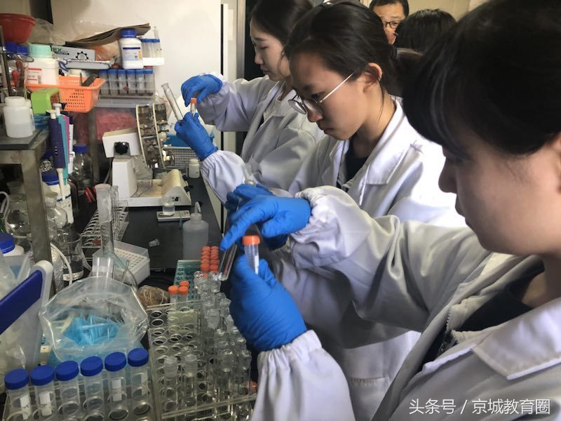 首师大附中学生考首师大好考吗,如何报考师大附中