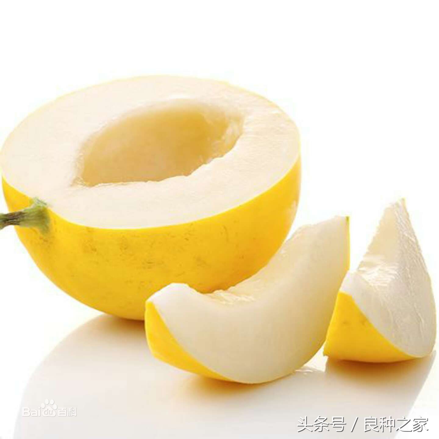 餐桌上常见的本土作物是什么,10种常见的粮食作物