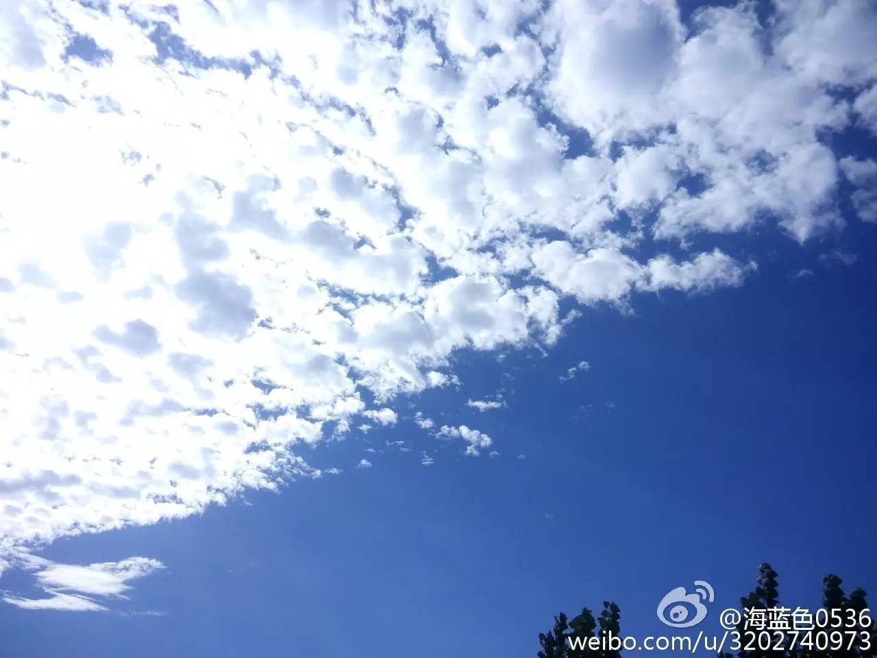 天津蓝眼泪视频,天津蓝眼泪最新视频